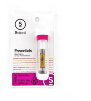 ESSENTIALS 1G - SELECT