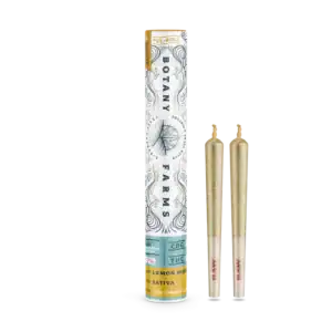 Godfather OG CBD Pre-Roll (2 Half Grams)