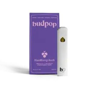 Budpop Delta 8 + Live Resin 2g Disposables (1600 mg) – Blackberry Kush