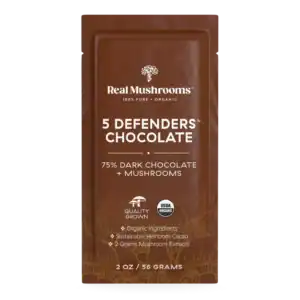 Mushroom Chocolate 5 Pack from Real Mushroom (Nootropics)