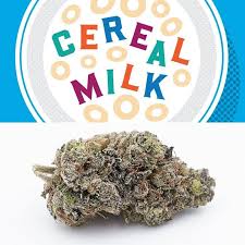 CEREAL MILK