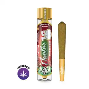 Apple Fritter [1g]-Jeeter