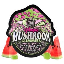 Watermelon Wonder Magic Mushroom Gummies