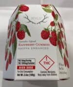 Raspberry Sativa Enhanced Gummies | 100mg-WYLD